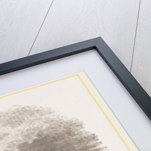 Yarmouth Beach-cart with Fish, UK by Anonymous