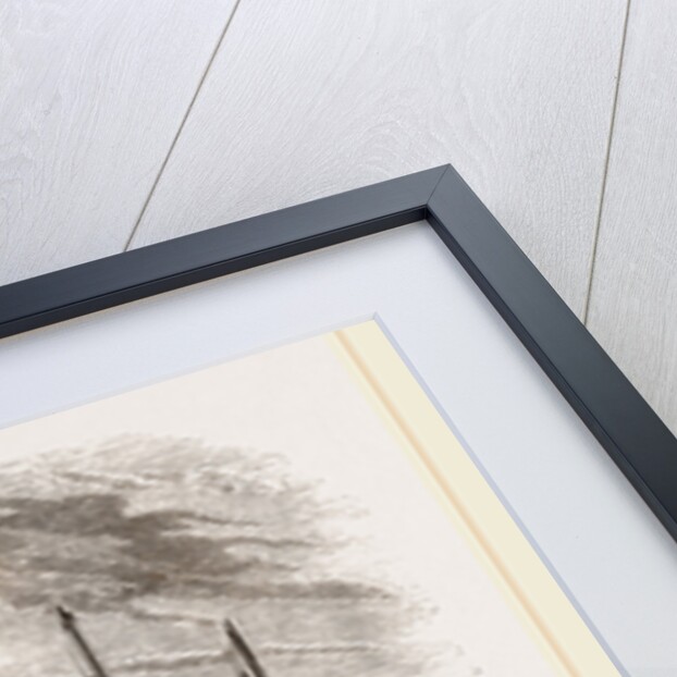 Fishing-boats at Hastings, UK by Anonymous