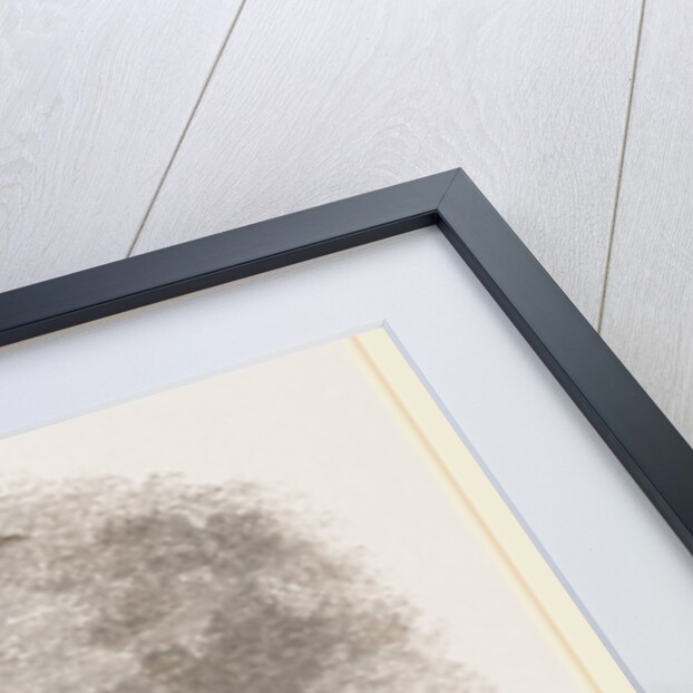 Trawling for Red Mullet off St. Alban's Head, UK by Anonymous