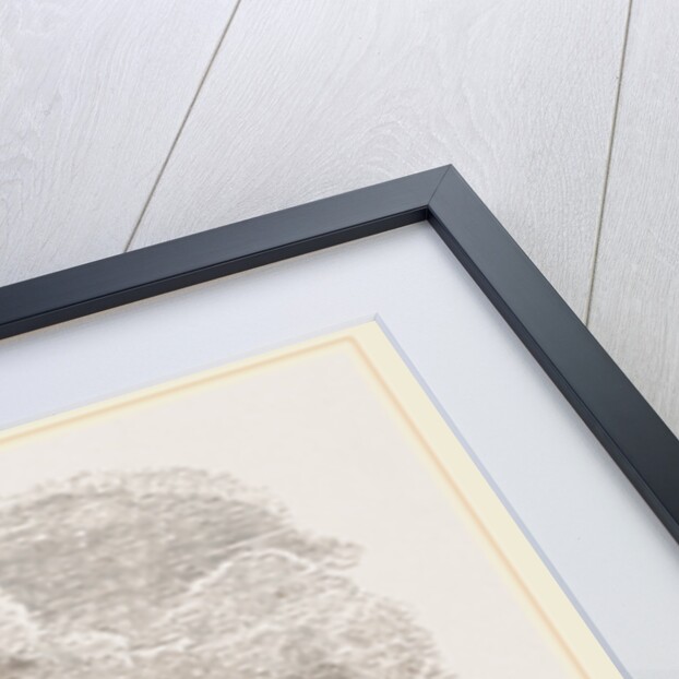 Turbot fishing off Scarborough, UK by Anonymous