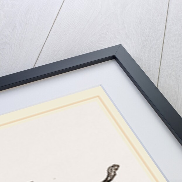 Thornback by Anonymous