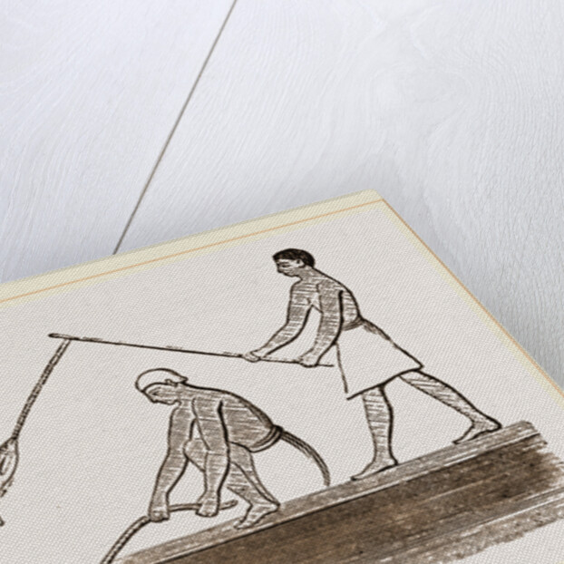 Ancient Egyptians angling, Egypt by Anonymous