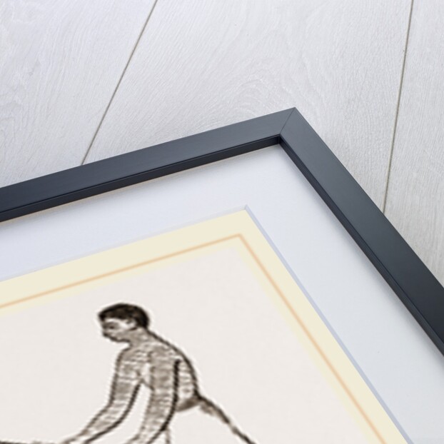 Ancient Egyptians angling, Egypt by Anonymous