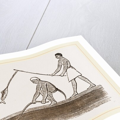 Ancient Egyptians angling, Egypt by Anonymous