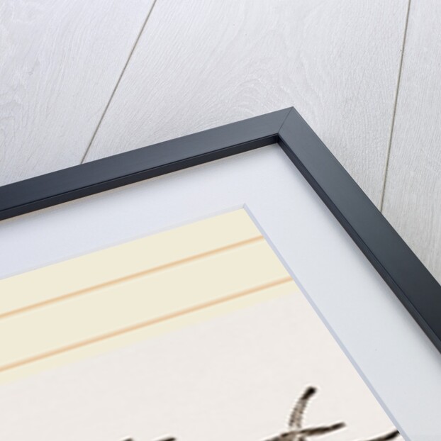 Cavolina by Anonymous