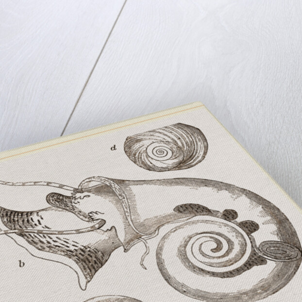 Twisted Turbo by Anonymous