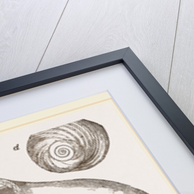 Twisted Turbo by Anonymous