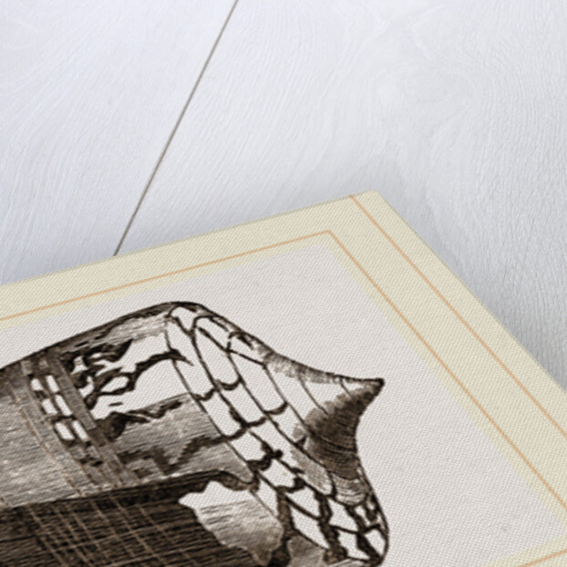 Ordinary Cone by Anonymous