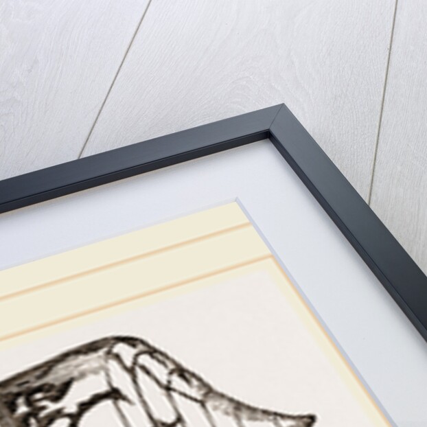 Ordinary Cone by Anonymous