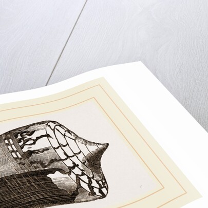 Ordinary Cone by Anonymous