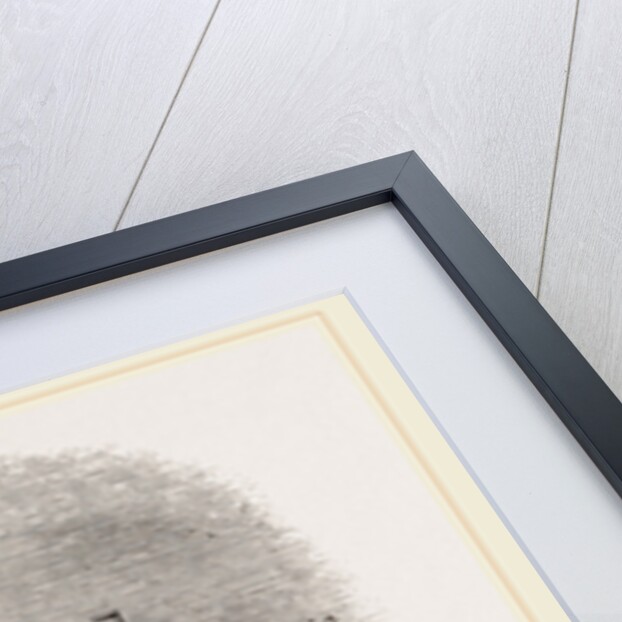 Oyster-boats by Anonymous