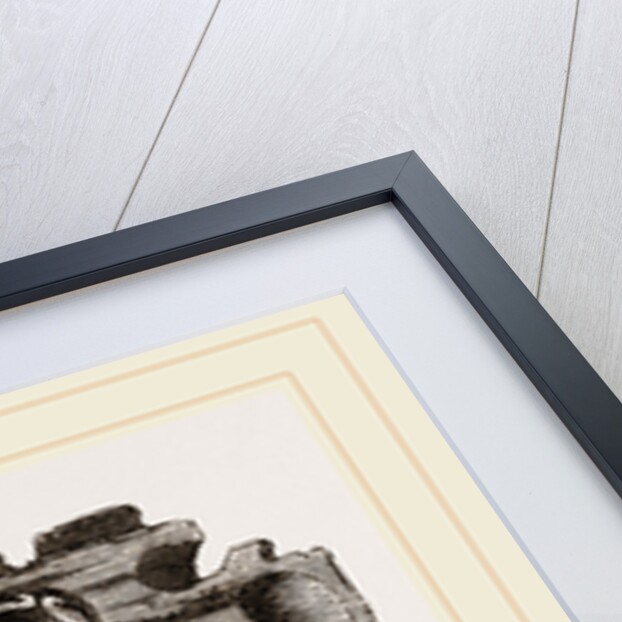 Pholas striatus in wood by Anonymous