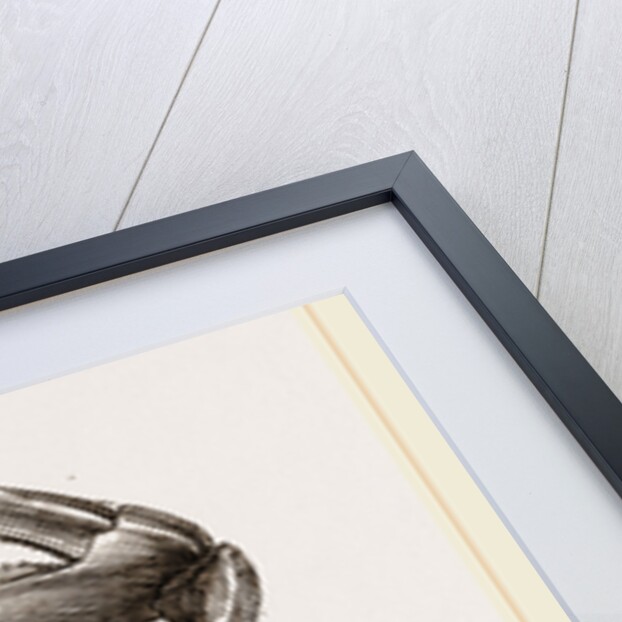 Gelasimus Marionis by Anonymous