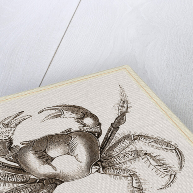 Uga Una by Anonymous