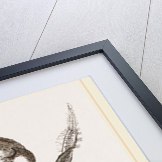 Uga Una by Anonymous