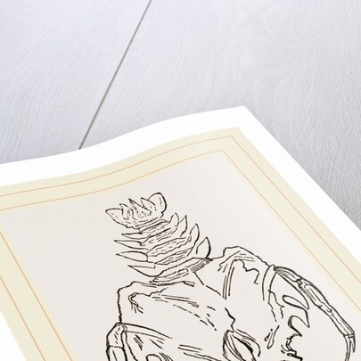 Eryon Cuvieri by Anonymous