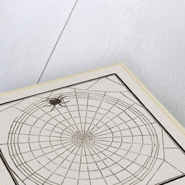 Geometric Web by Anonymous