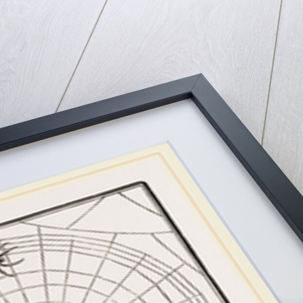 Geometric Web by Anonymous