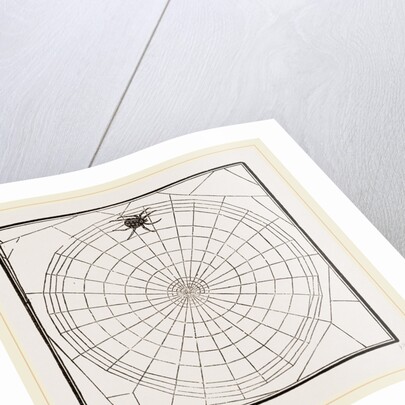 Geometric Web by Anonymous