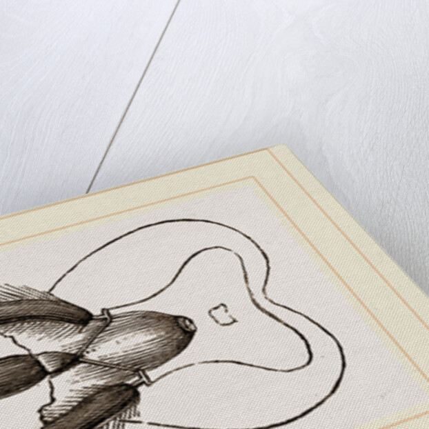 Mouth of Bee by Anonymous