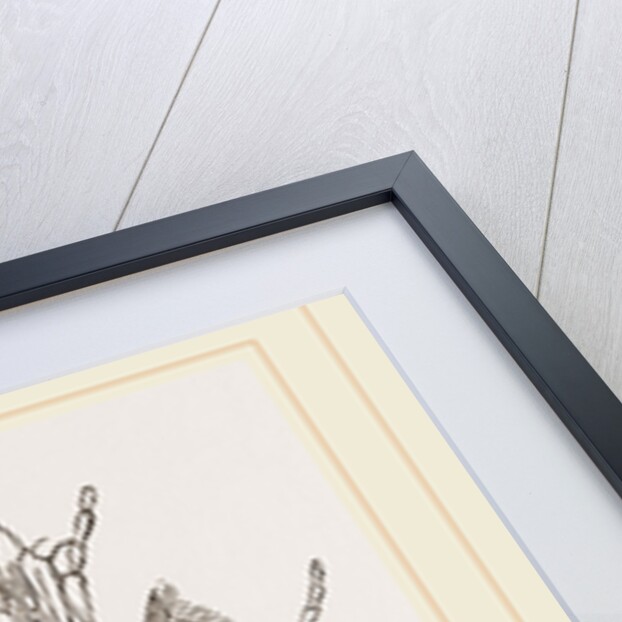 Head of Pee by Anonymous