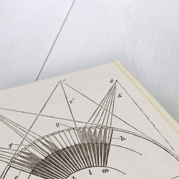 Rays of Light on Eye Insect by Anonymous