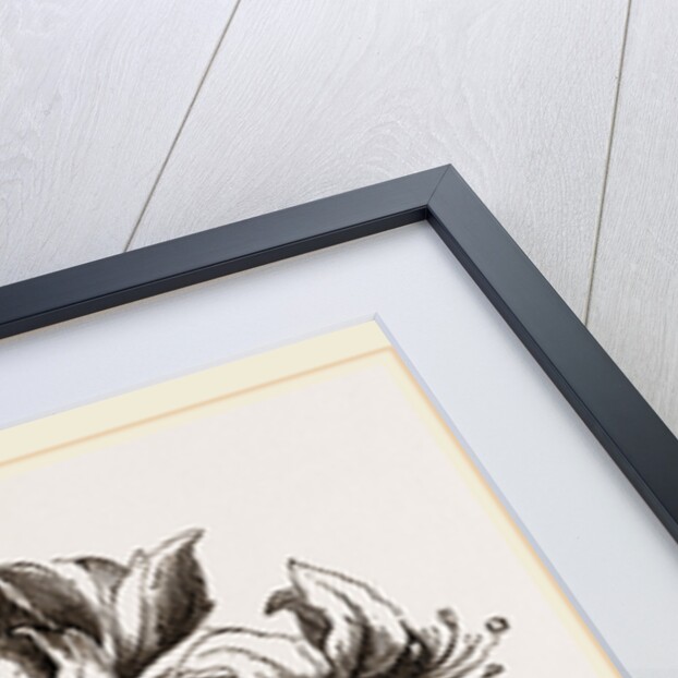 Yellow Azalea by Anonymous