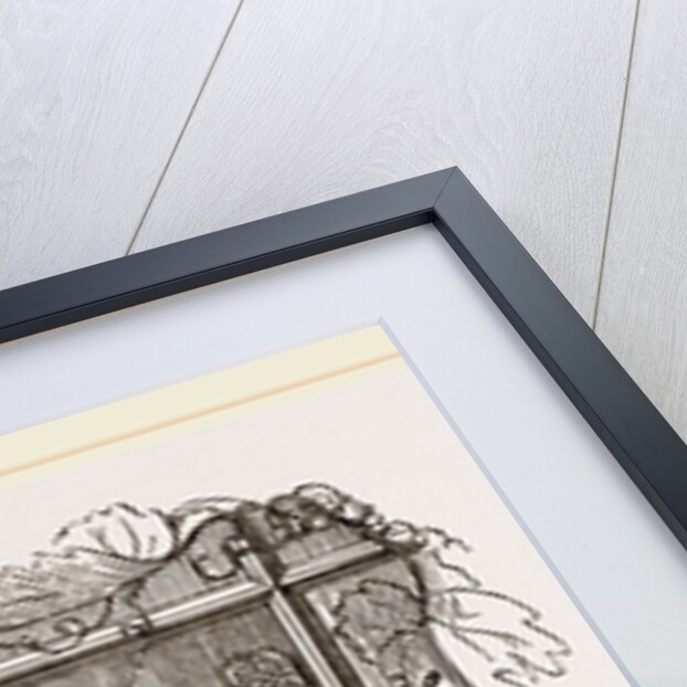 Two Groups of Eggs Rose-leaf Roller by Anonymous