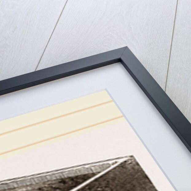 Ant-lion and Pit in Box by Anonymous