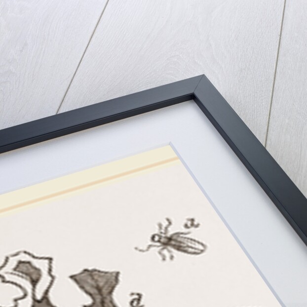 Leaf-mining Maggots by Anonymous