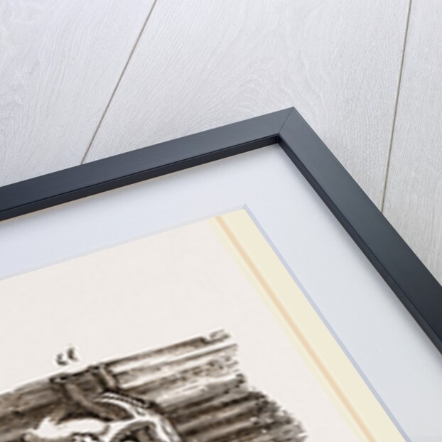 Tipula and Pupa by Anonymous