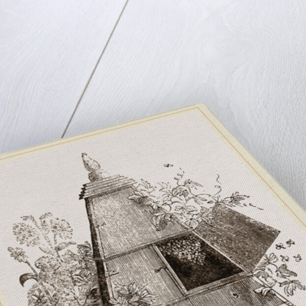 Reaumur's Pyramidal Hive by Anonymous