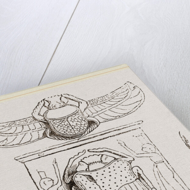 Scarabaei from Egyptian Monuments by Anonymous