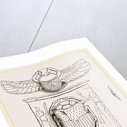 Scarabaei from Egyptian Monuments by Anonymous