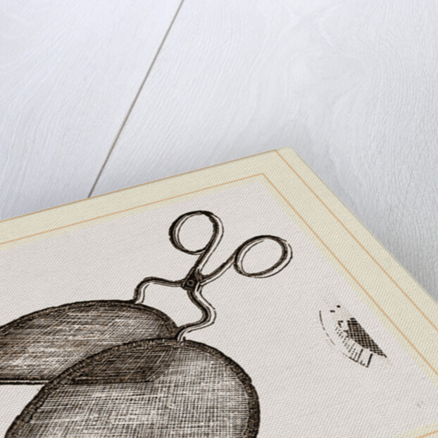 Ring-Net and Forceps by Anonymous