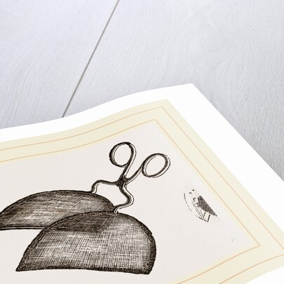 Ring-Net and Forceps by Anonymous