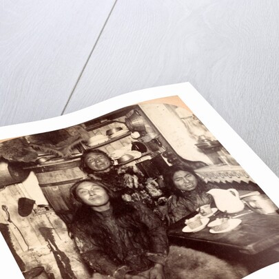 Interior of Fort Magnesia, Cape Sabine, Ellesmere Land, 1902 by Anonymous