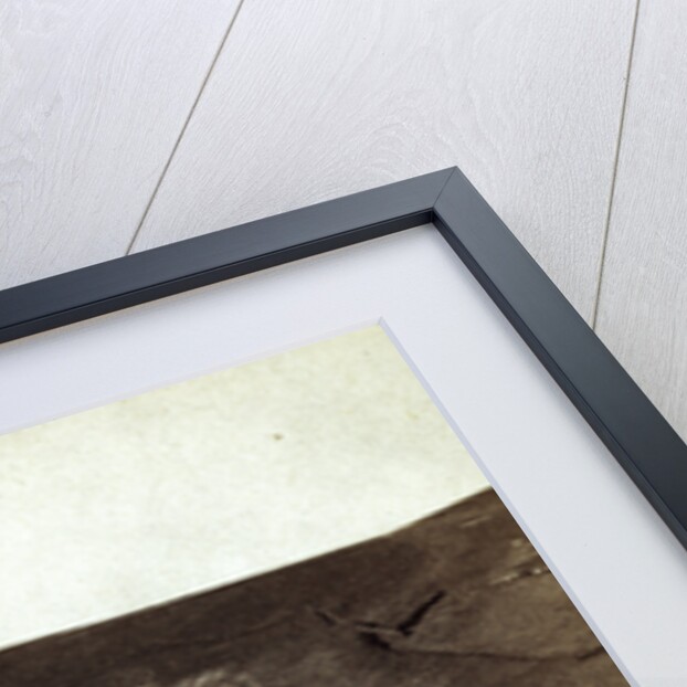 Tunnel No. 2, head of Echo Canon by Anonymous