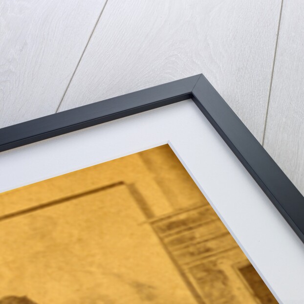 Henry, janitor, Dickinson College, Carlisle, Penna. by Anonymous