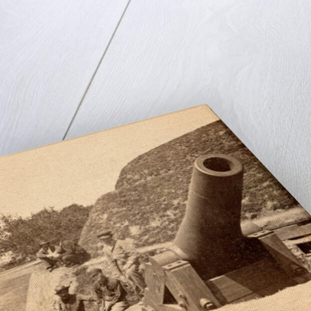 View on the Point Battery, Charleston, S.C., showing the gun in the Cheevrs battery, looking S.W. by Anonymous