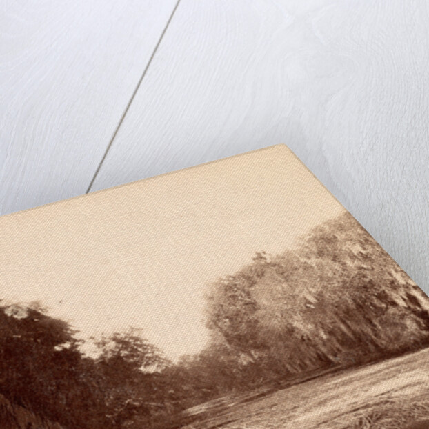 Mud Creek, Hilton Head Island, S.C. by Anonymous