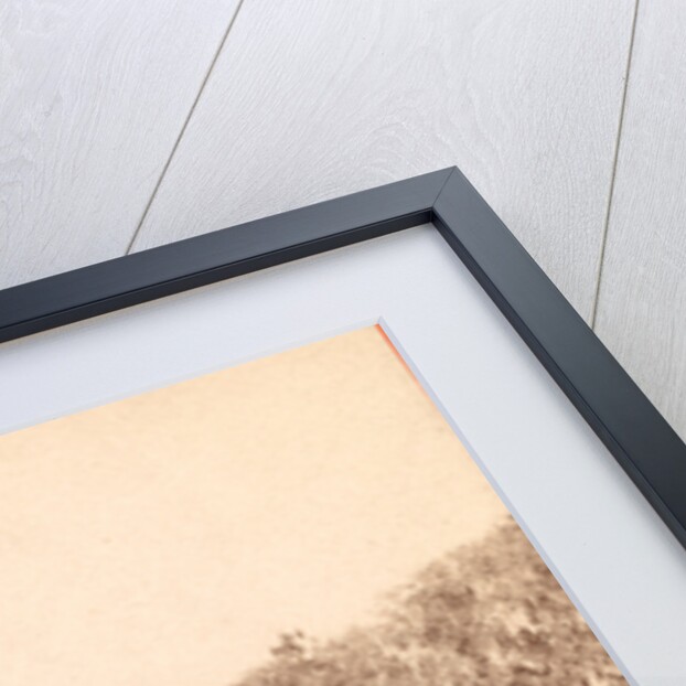 Mud Creek, Hilton Head Island, S.C. by Anonymous