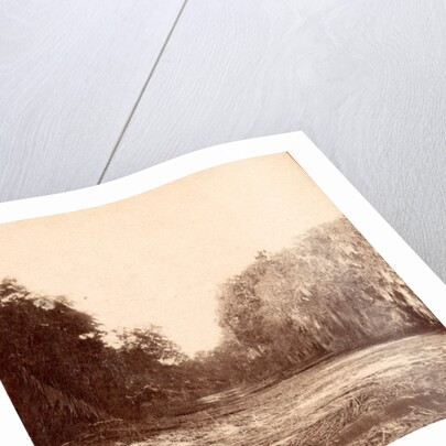 Mud Creek, Hilton Head Island, S.C. by Anonymous