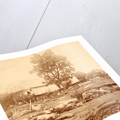 View at Losser's (i.e. Trostle's) barn, where the 9th Massachusetts Battery was cut up by Anonymous