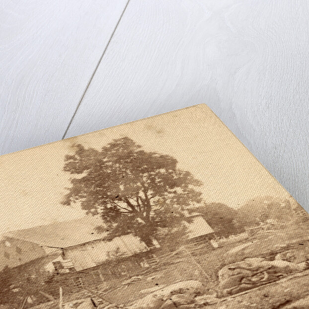 In Trossel's barnyard, Gettysburg by Anonymous