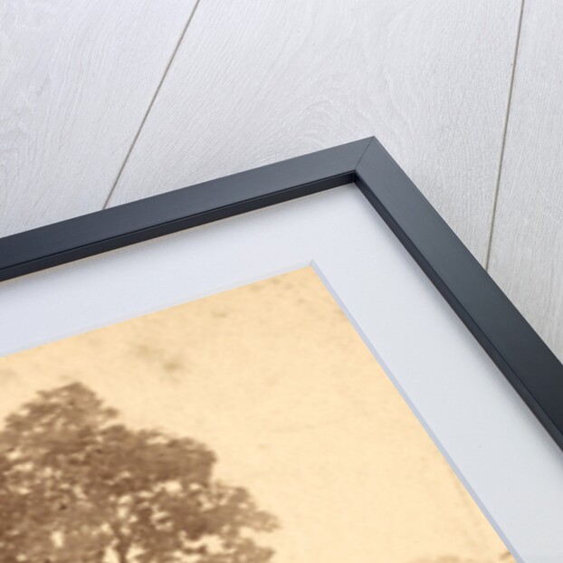 In Trossel's barnyard, Gettysburg by Anonymous