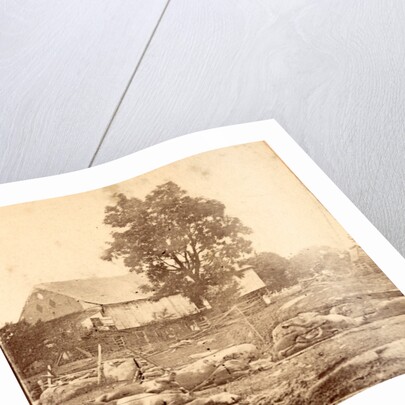 In Trossel's barnyard, Gettysburg by Anonymous