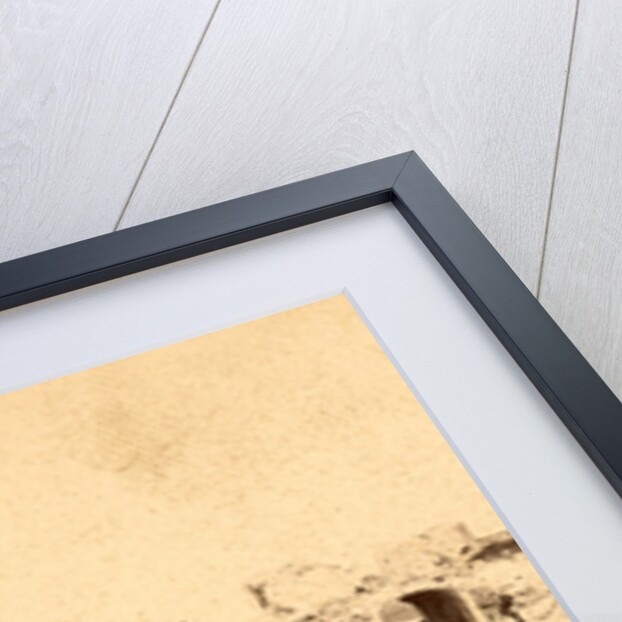Interior view of Fort Moultrie, Charleston Harbor (i. e. Sullivan's Island), S.C., looking through the sallyport by Anonymous