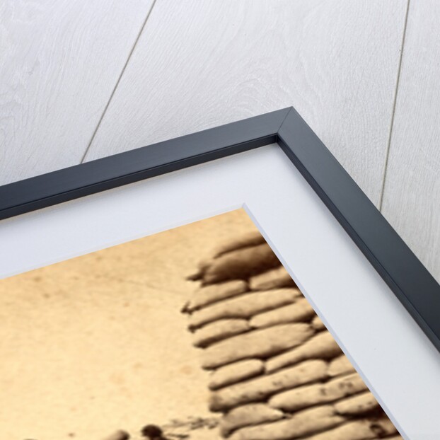 Swamp Angel Battery near Charleston, S.C. by Anonymous