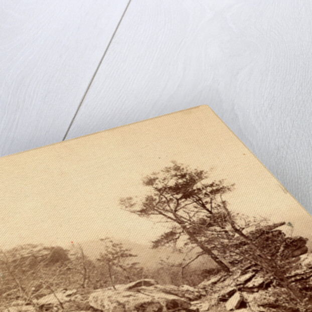 View on the top of Lookout Mountain, Tenn., USA by Anonymous